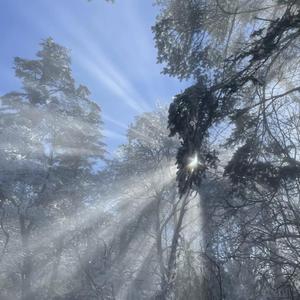 我脱了麻麻的内裤让我看见了
